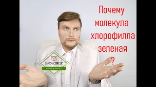 Почему молекула хлорофилла зеленая? ЕГЭ Биология. ЕГЭ 2022.