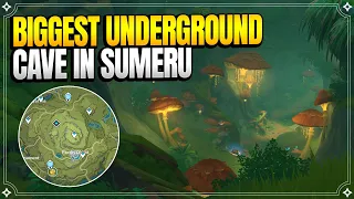 Underground Mushroom Cave in Sumeru! | World Quests & Puzzles |【Genshin Impact】
