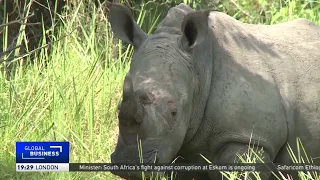 Uganda eyes wildlife conservation to drive tourism growth