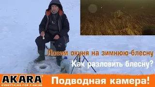 Как разловить зимнюю блесну? Тройник имеет значение! Подводные съемки.