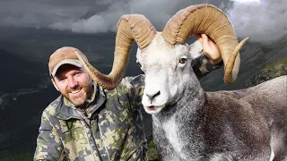 An ancient Stone sheep! Hunting 13 year-old Ram in British Columbia