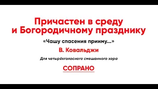 🎼 Чашу спасения прииму... Причастен в средуи Богородичному празднику, В. Ковальджи (сопрано)