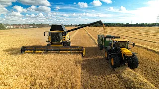 2 x New Holland  CR8.90 cutting winter barley (4K)