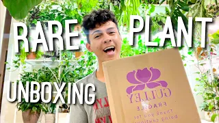 This is Crazy! 😳 Rare & Uncommon Houseplants Unboxing! Gulley Plant Unboxing | Uncommon Plants 🪴