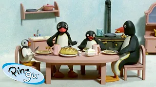 Pingu Loves His Family| Pingu - Official Channel | Cartoons For Kids 🐧