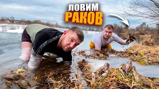 ЛОВЛЮ РАКОВ РУКАМИ В ЛЕДЯНОЙ ВОДЕ