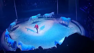 Kerstcircus 3