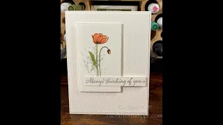 FB LIVE replay:Simple and Stunning Sympathy Cards, Stampin' Up!