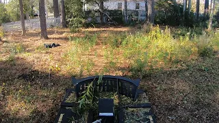 PLEASE ANGRY BEES DON'T ATTACK ME AGAIN! Mowing A City Violation Lot With The MTL XCT!