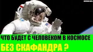 Что будет в космосе с человеком без скафандра?