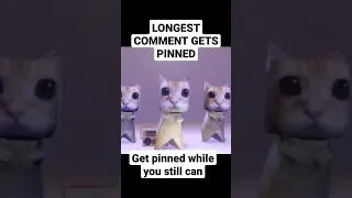 longest comment gets pinned!!