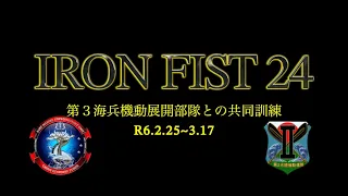 Iron Fist24