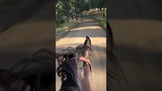 Very nice way to go on horseback 1 #nature #relaxing #horse