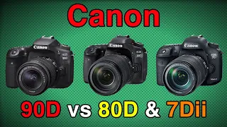 Canon 90D vs 80D & 7Dii - Which Camera to Buy - Comparison