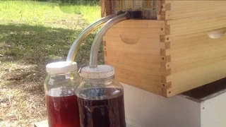 Flow Hive - Don Anderson Harvesting Honey