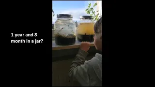 A Year Ago I Put sea water and mud in a Jar and This Happened | Ecosphere 1 and 8 month