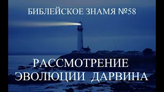 РАССМОТРЕНИЕ ЭВОЛЮЦИИ ДАРВИНА - БИБЛЕЙСКОЕ ЗНАМЯ № 58 - Исследователи Библии