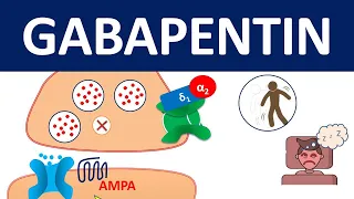 Gabapentin - Mechanism, precautions & side effects