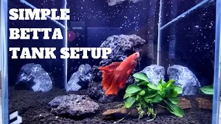 SIMPLE BETTA NANO TANK AQUARIUM SETUP