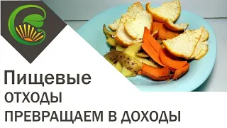 Пищевые отходы превращаем в доходы