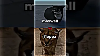 maxwell vs floppa