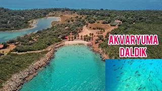 GÖKOVA KÖRFEZİNDE TEKNE İLE  CENNET GİBİ KOYLARA GİTTİK/AKVARYUMDAN FARKI YOK #akyaka #akvaryum