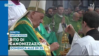 Papa Francesco, messa e rito di canonizzazione - Domenica 11 febbraio ore 9.30 su Tv2000