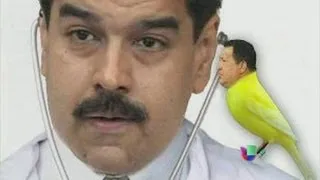 Nicolás Maduro insistió en su creencia de que Chávez se le apareció en forma de pajarito