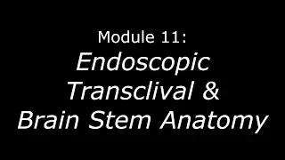 Module 11: Endoscopic Transclival & Brain Stem Anatomy