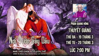 Cha Phạm Quang Hồng | NƠI VƯỜN CÂY DẦU | Tĩnh Tâm Mùa Chay