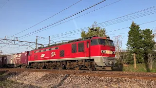 #47 JR貨物　貨物列車　電気機関車　EF510レッドサンダー