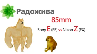 Про 85-тки Nikon Z (FX) и Sony E (FE). Почему я перешел с Nikon F на Sony E.