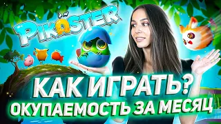 🐥 PIKASTER — КАК НАЧАТЬ ИГРАТЬ И ЗАРАБАТЫВАТЬ? ДОХОД ДО 50$/ДЕНЬ! СОБИРАЕМ ПУЛ ИНВЕСТОРОВ!