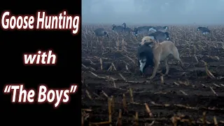 Goose Hunting with the Boys! (Early Season Strategies)