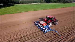 Mais zaaien / Mais säen / Planting corn /  Semer du maïs / Case IH / Monosem / Drone landbouw