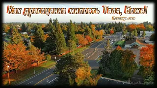 Служение Ц. Благодать 10-17-21