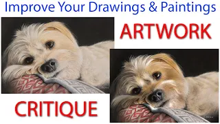 Beginner Art tips - Improve your drawings and paintings - Pastel Pet Portrait Critique