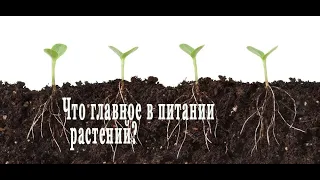 ПАН116 Основы плодородие почвы микроорганизмы и гуминовые кислоты