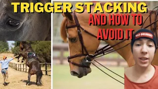 What is Trigger Stacking? | How to Avoid Dangerous Reactions in Horses