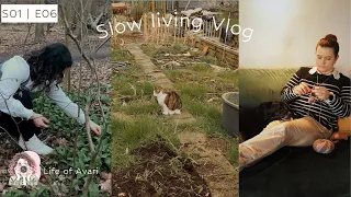 S01 | E06 | Spring serenity: a week of wild garlic, cafés, and garden finds | Slow living vlog