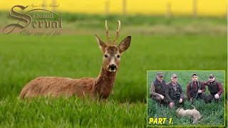 Spring roebuck hunting in Backa Palanka 2023 - Part 01