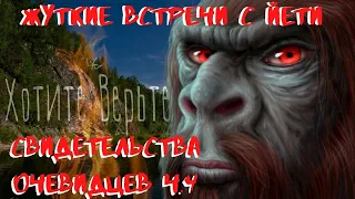 Жуткие встречи с Йети: СВИДЕТЕЛЬСТВА ОЧЕВИДЦЕВ Ч.4.