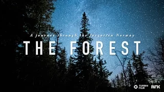 THE FOREST - A Time-Lapse Journey Through the Forgotten Norway 4K