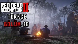 FEDERALLER VE HAYDUTLAR  ! | RED DEAD REDEMPTION 2 TÜRKÇE BÖLÜM 16