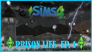 I SENT MY SIMS TO PRISON! *Sims 4 Prison Life*