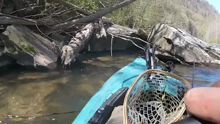 Trout Camp 2022 Pine Creek Valley Fishing, Kayaking