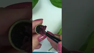 TUTORIAL Miniature basil plant with air dry clay 🌿preview