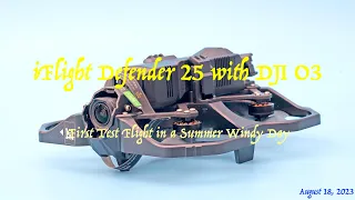 iFlight Defender 25 with DJI O3 First Flight