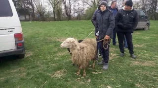 Вашківецький ринок рулить ! "Двіжняк" перед Пасхою під коломийки! Частина 1. 08.04.2017 DiamonD