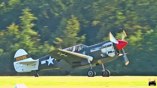 1942 Curtiss P-40 - Allison V1710 Warbird-Sound
